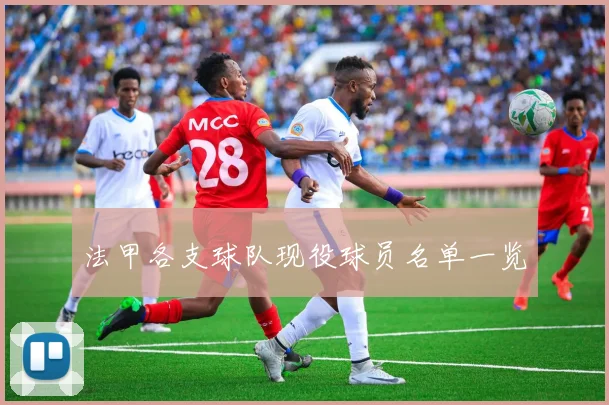 法甲各支球队现役球员名单一览