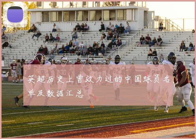 英超历史上曾效力过的中国球员名单及数据汇总