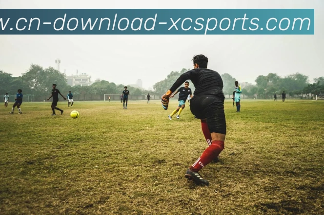 杏彩体育平台生态图